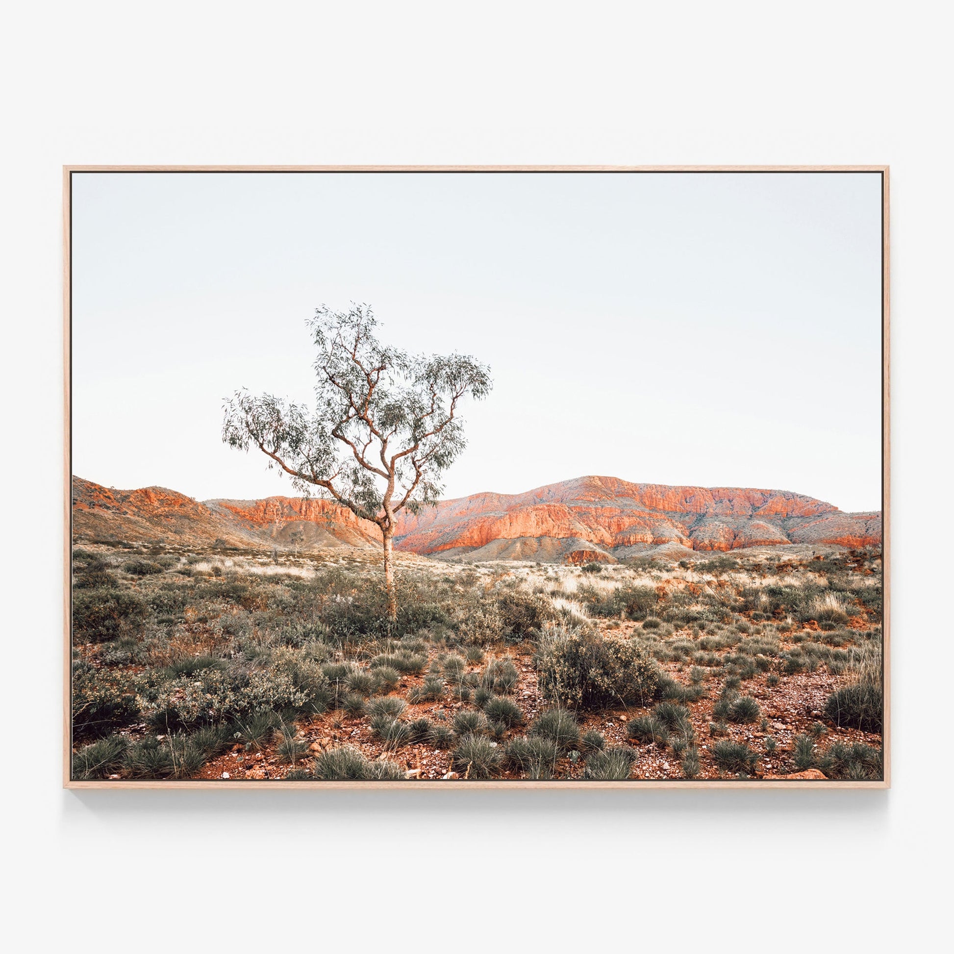 Ormiston Pound Canvas wall art with oak float frame