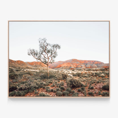 Ormiston Pound Canvas wall art with oak float frame