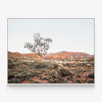 Ormiston Pound Canvas