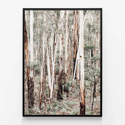 Otway Forest