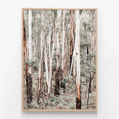 Otway Forest