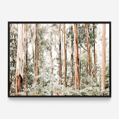 Otways