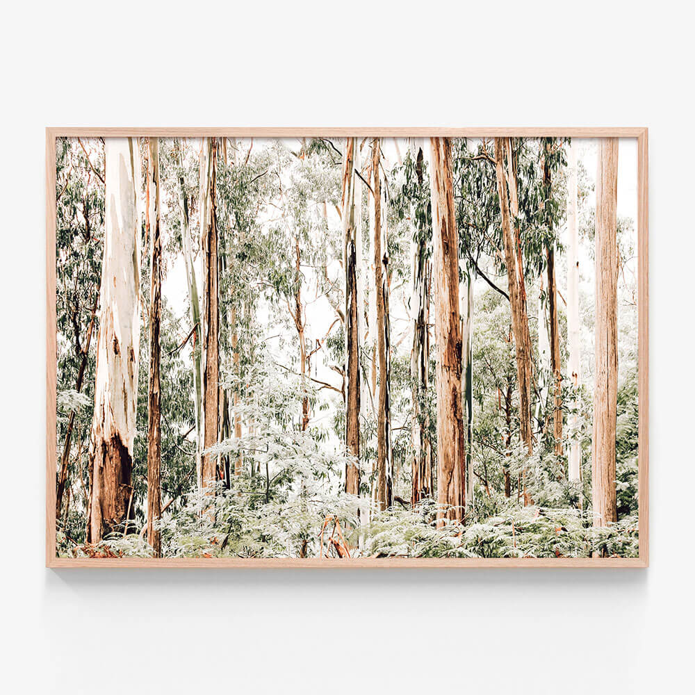 Otways