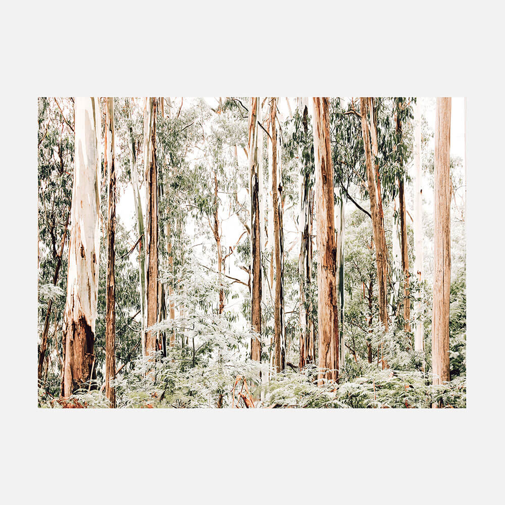 Otways