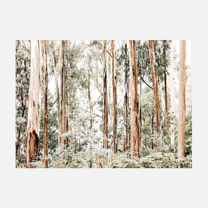 Otways