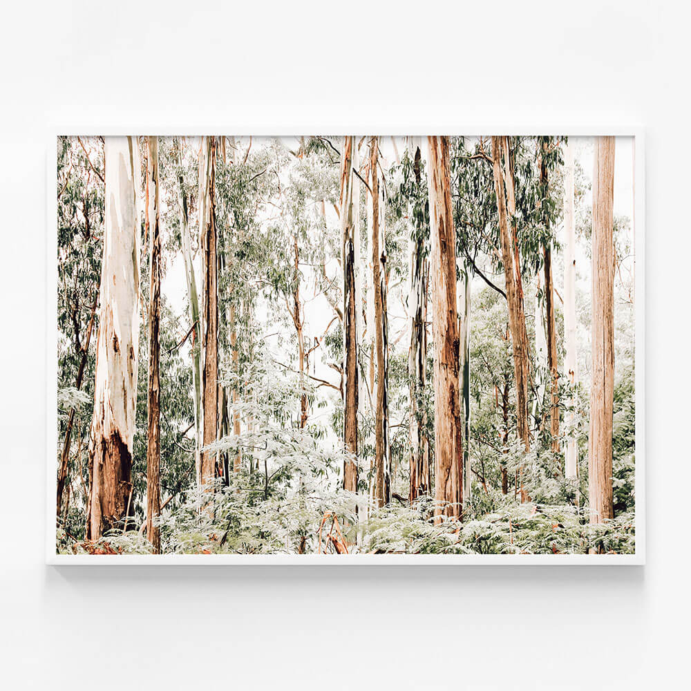 Otways