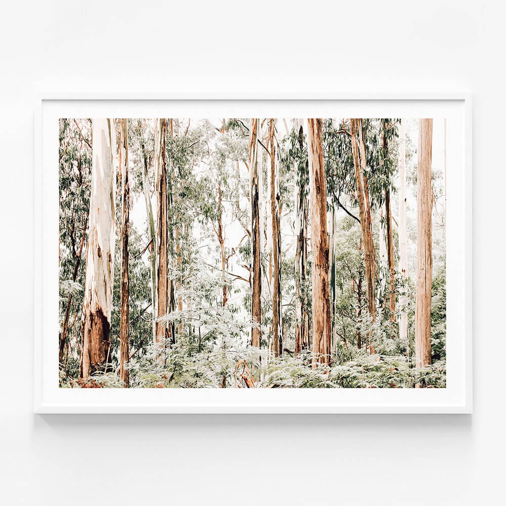 Otways