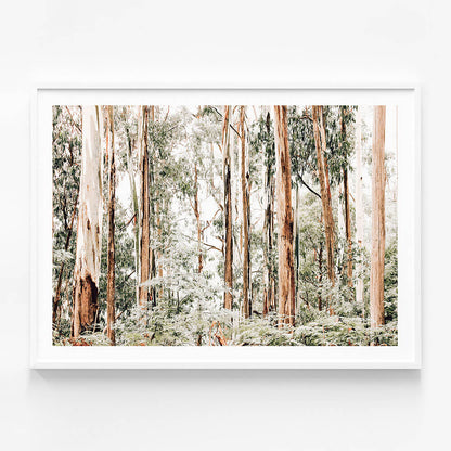 Otways