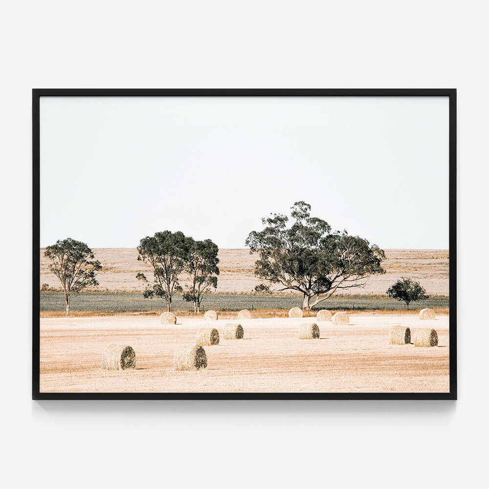 Outback Fields