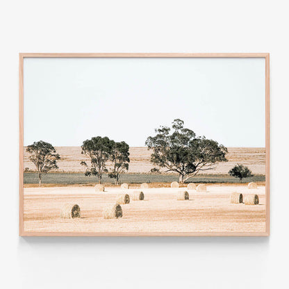 Outback Fields