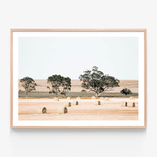 Outback Fields