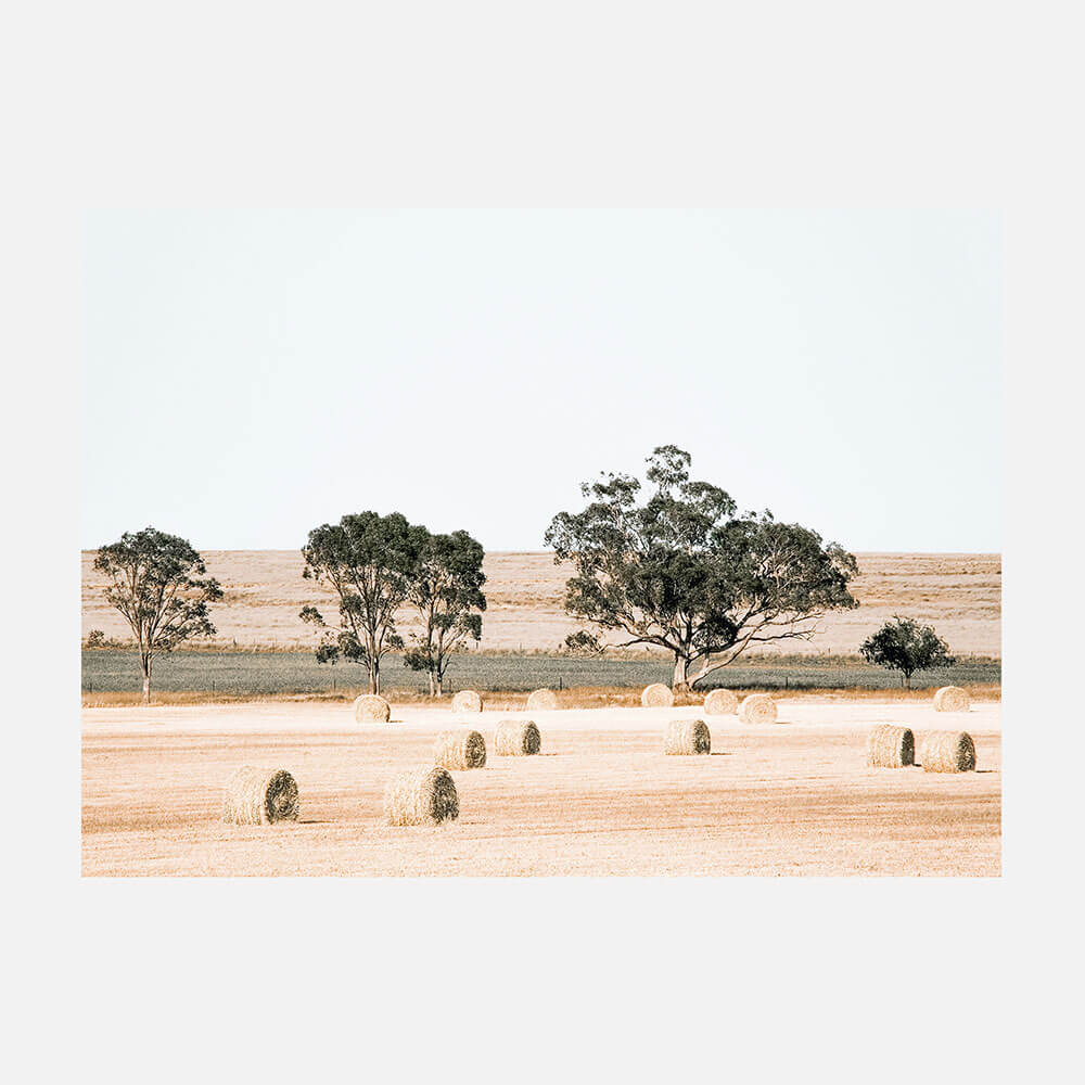 Outback Fields