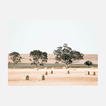 Outback Fields