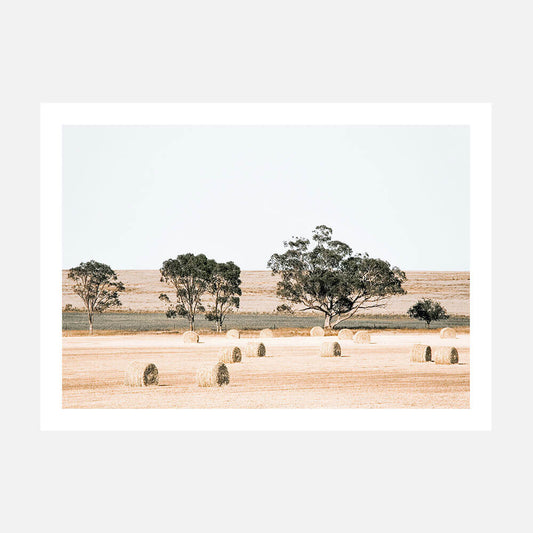 Outback Fields