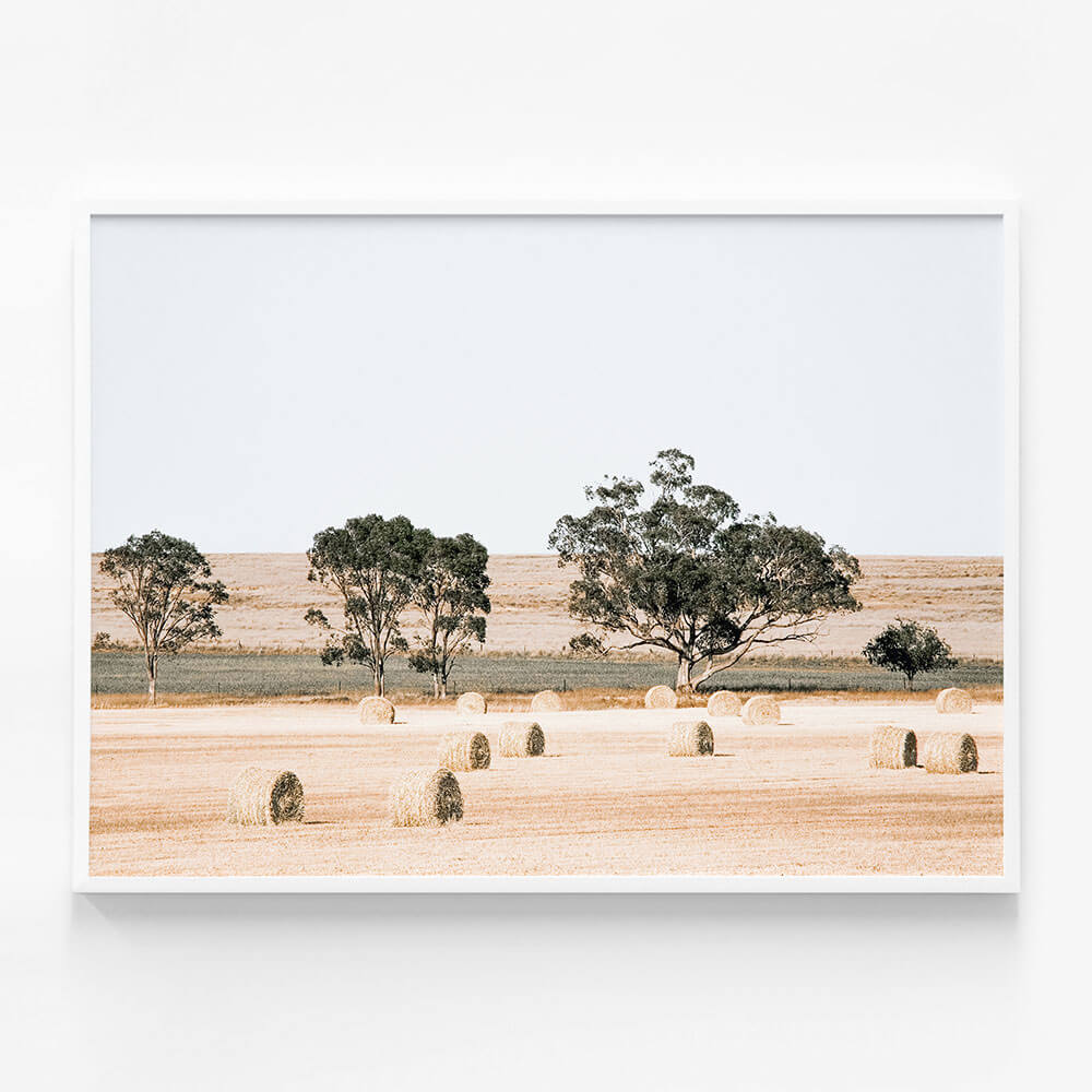 Outback Fields
