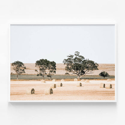 Outback Fields