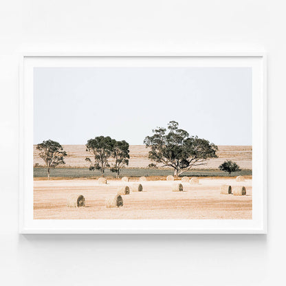 Outback Fields