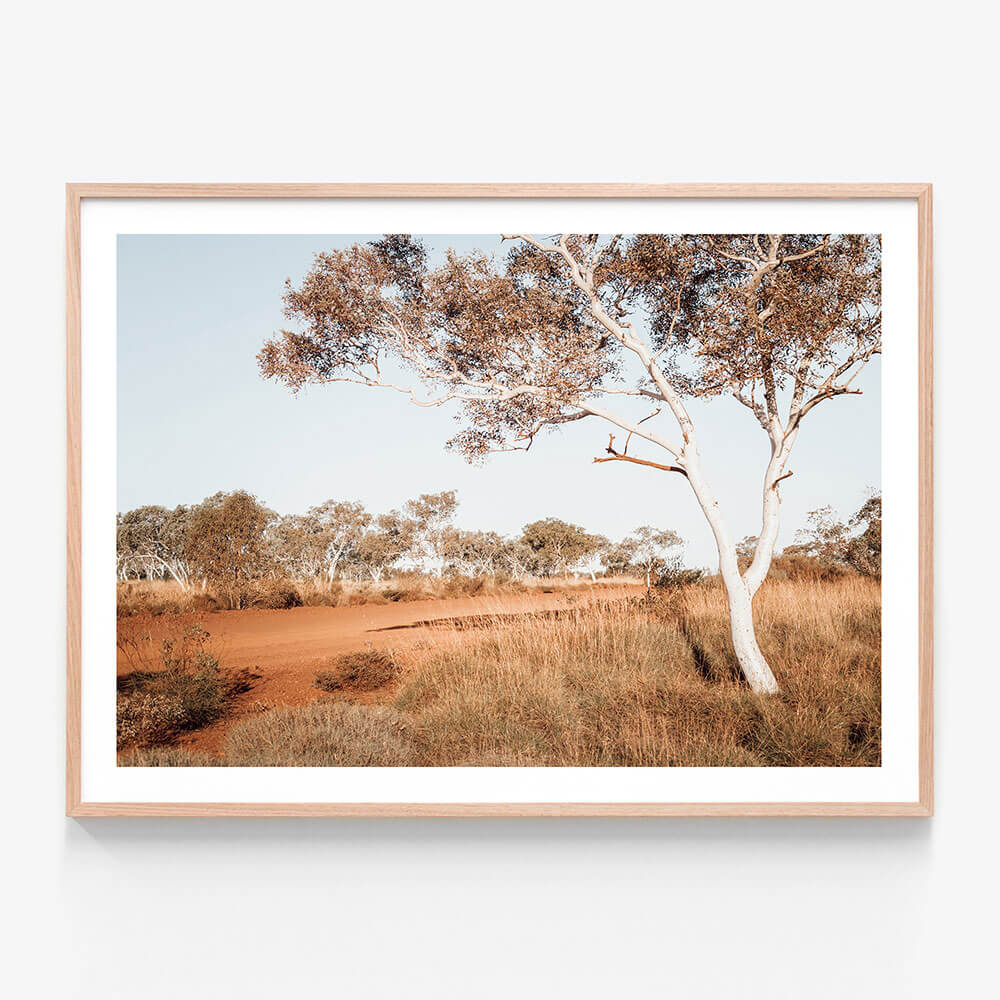 A framed art print of the Australian outback featuring a dirt road and Gum trees