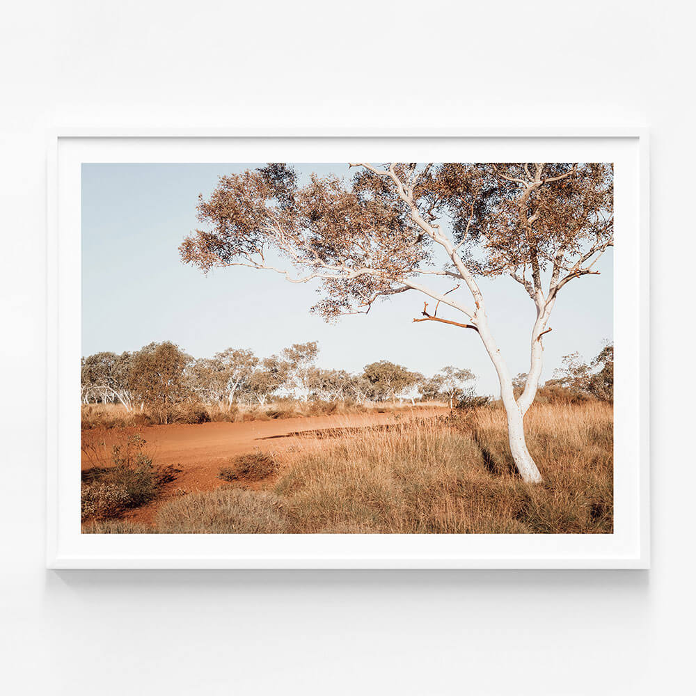 Outback Gum
