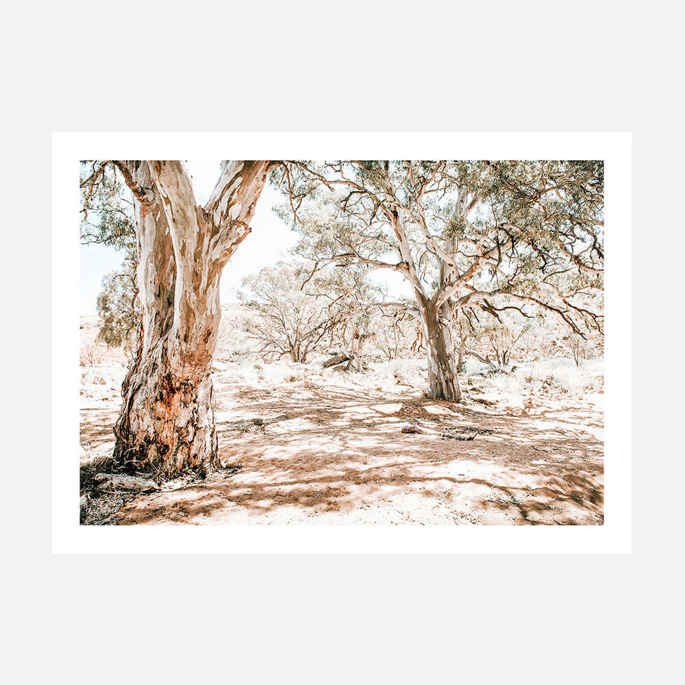 Outback Oasis