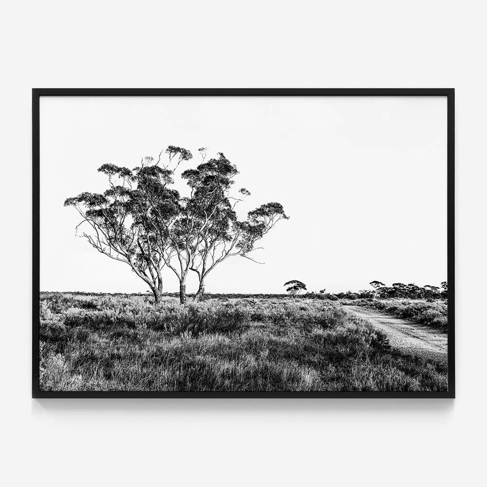 Outback Road B&W