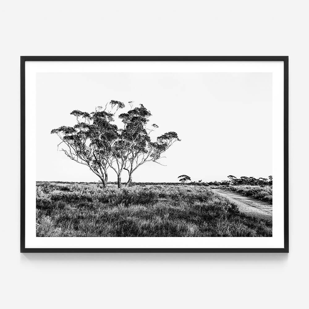 Outback Road B&W