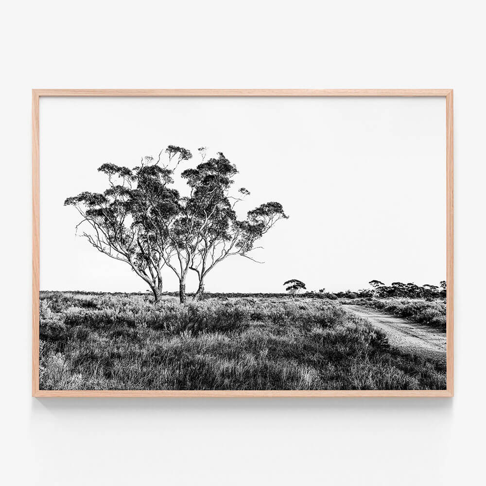 Outback Road B&W