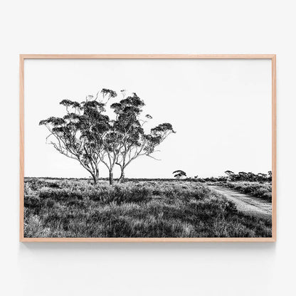 Outback Road B&W