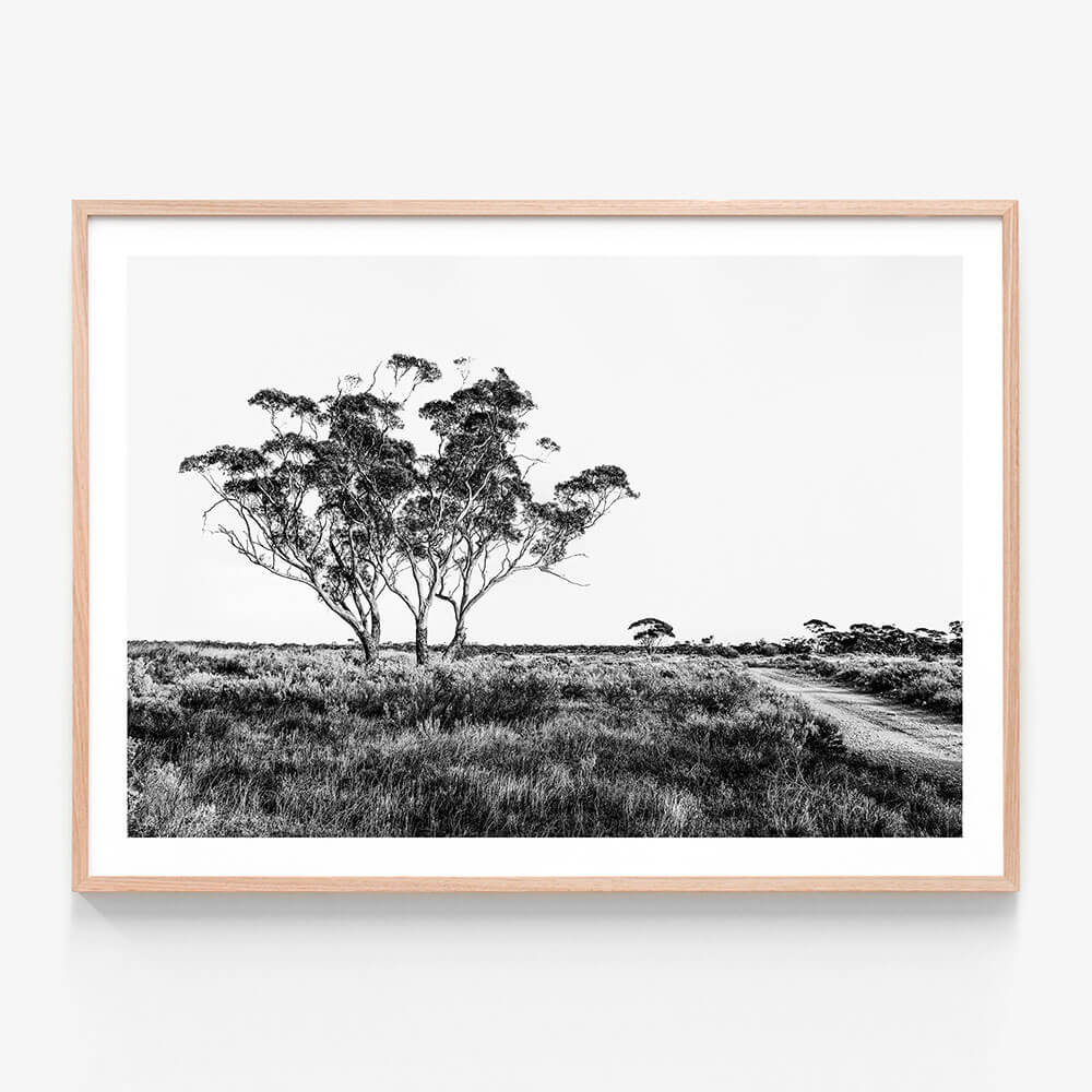 Outback Road B&W