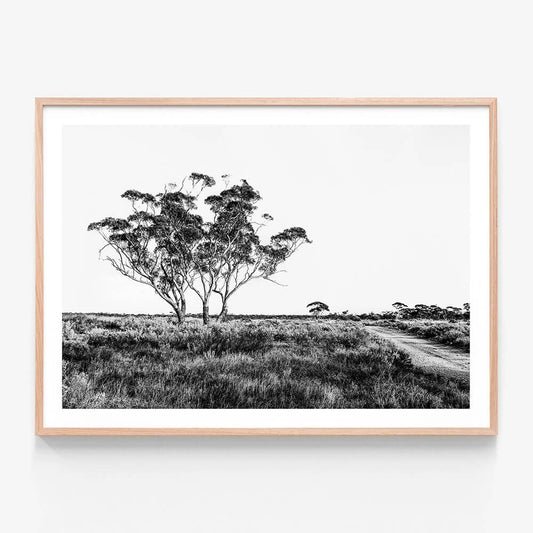 Outback Road B&W