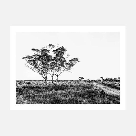 Outback Road B&W