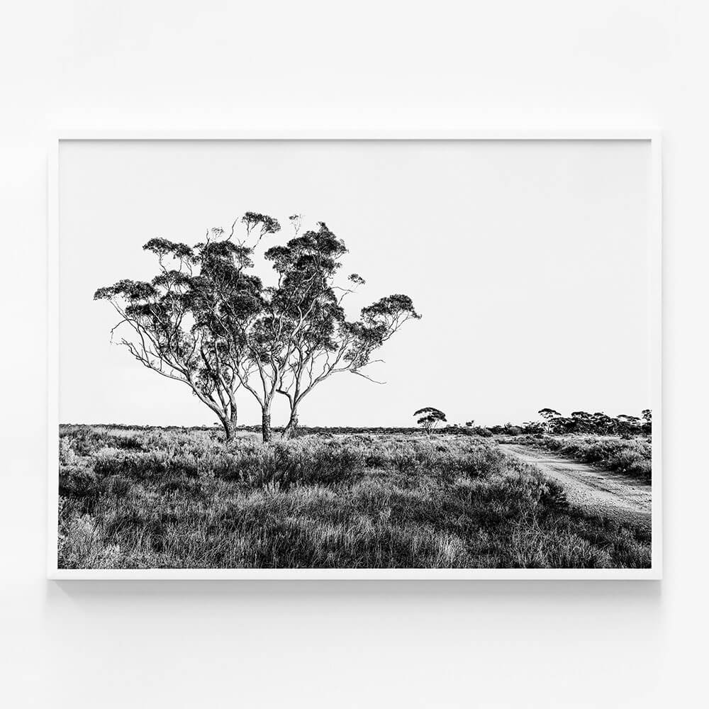 Outback Road B&W
