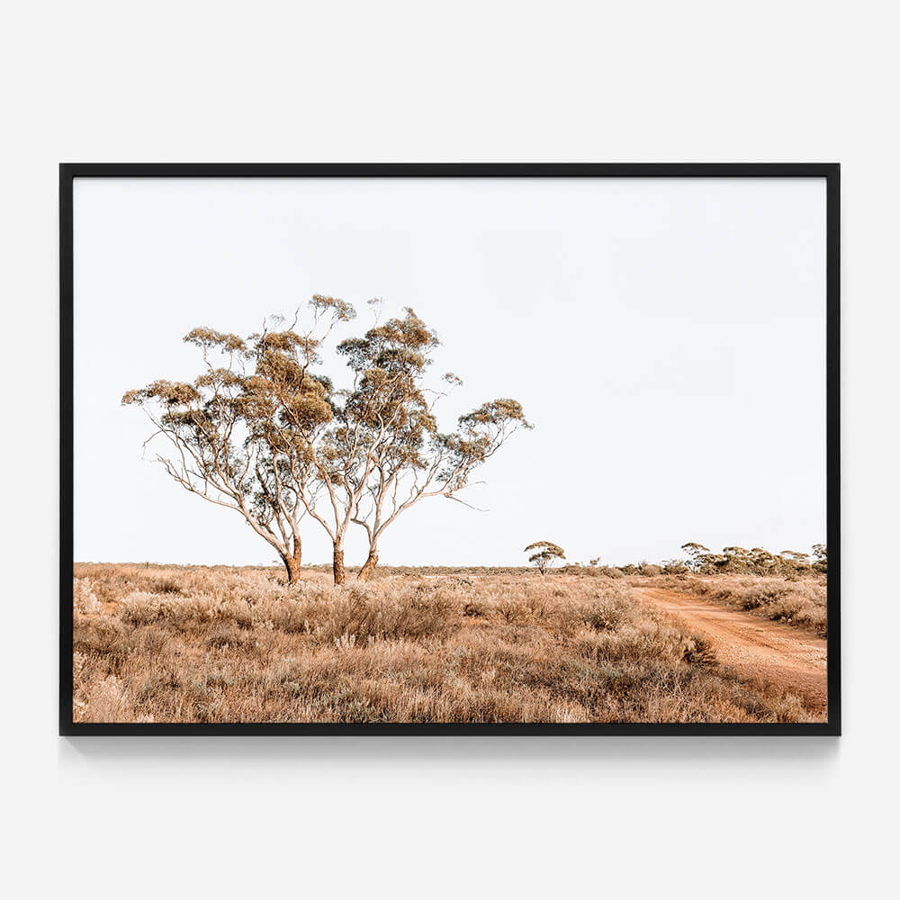 Outback Road