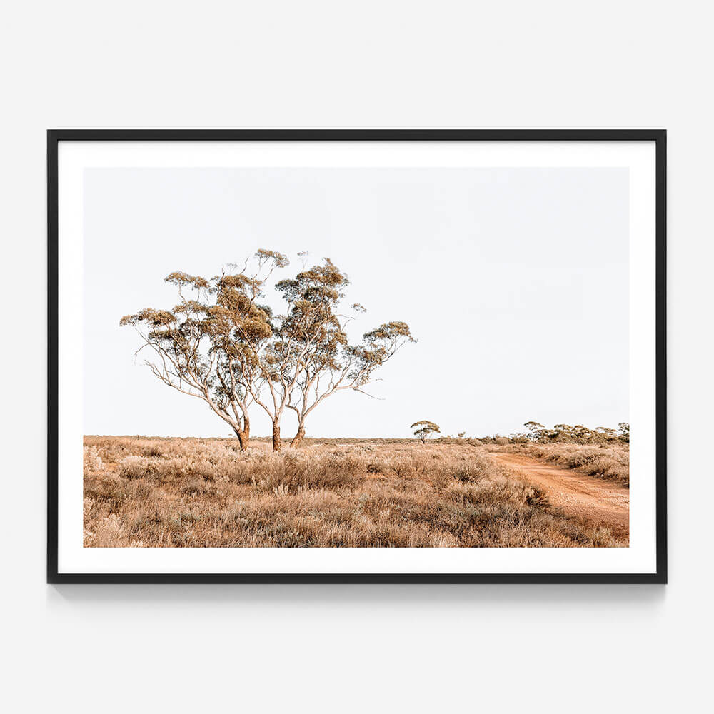 Outback Road