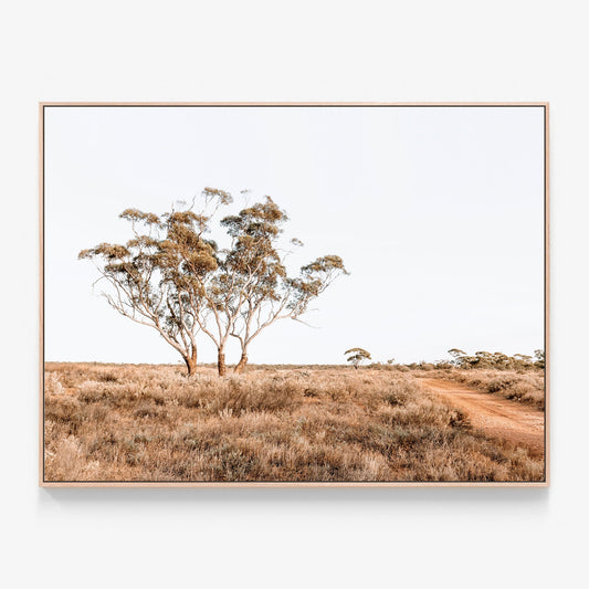 Australian Outback Road photography Canvas wall art print with oak float frame