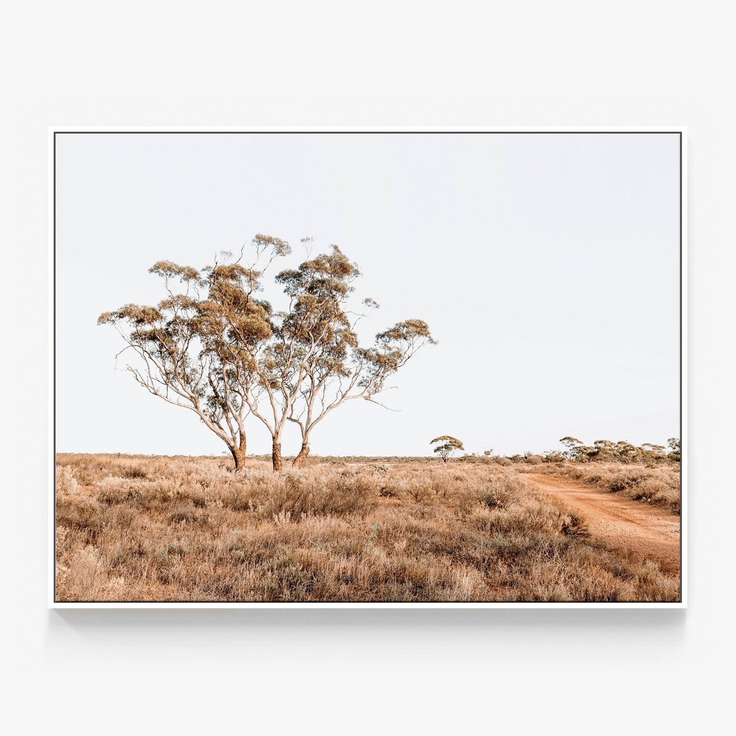 Outback Road Canvas