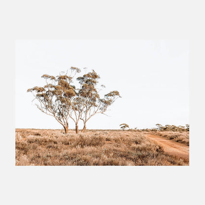 Outback Road
