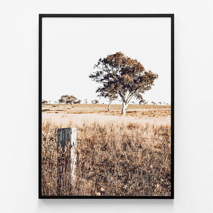 Outback View