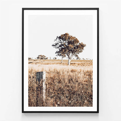 Outback View