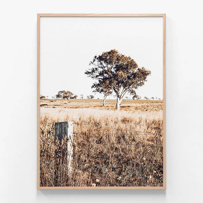 Outback View
