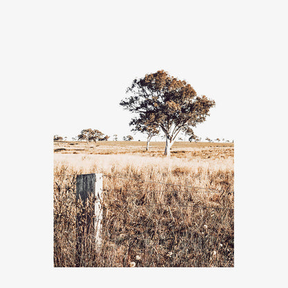 Outback View