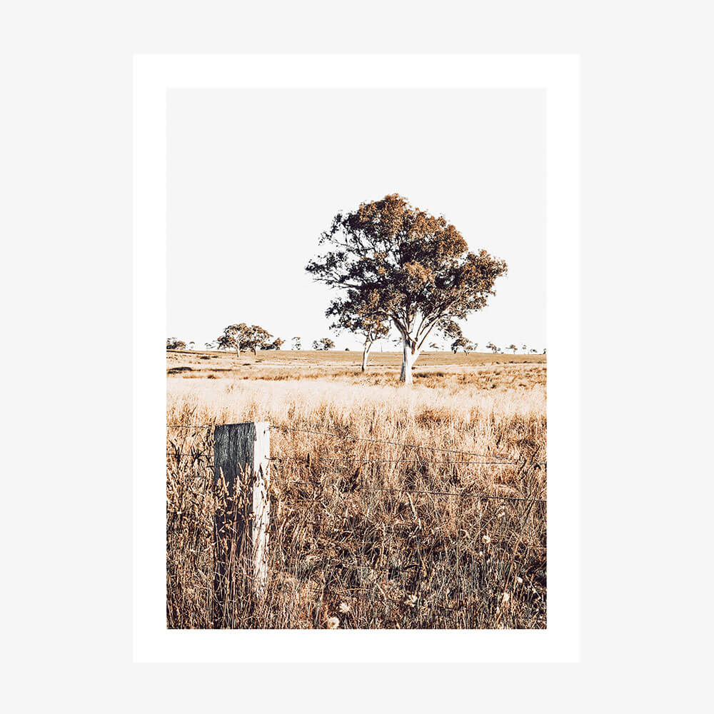 An art print featuring a rural Australian farming landscape with a large gum tree.