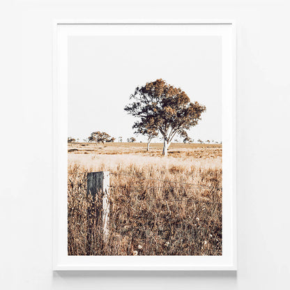 Outback View