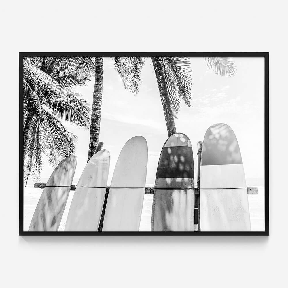 Palm Boards B&W