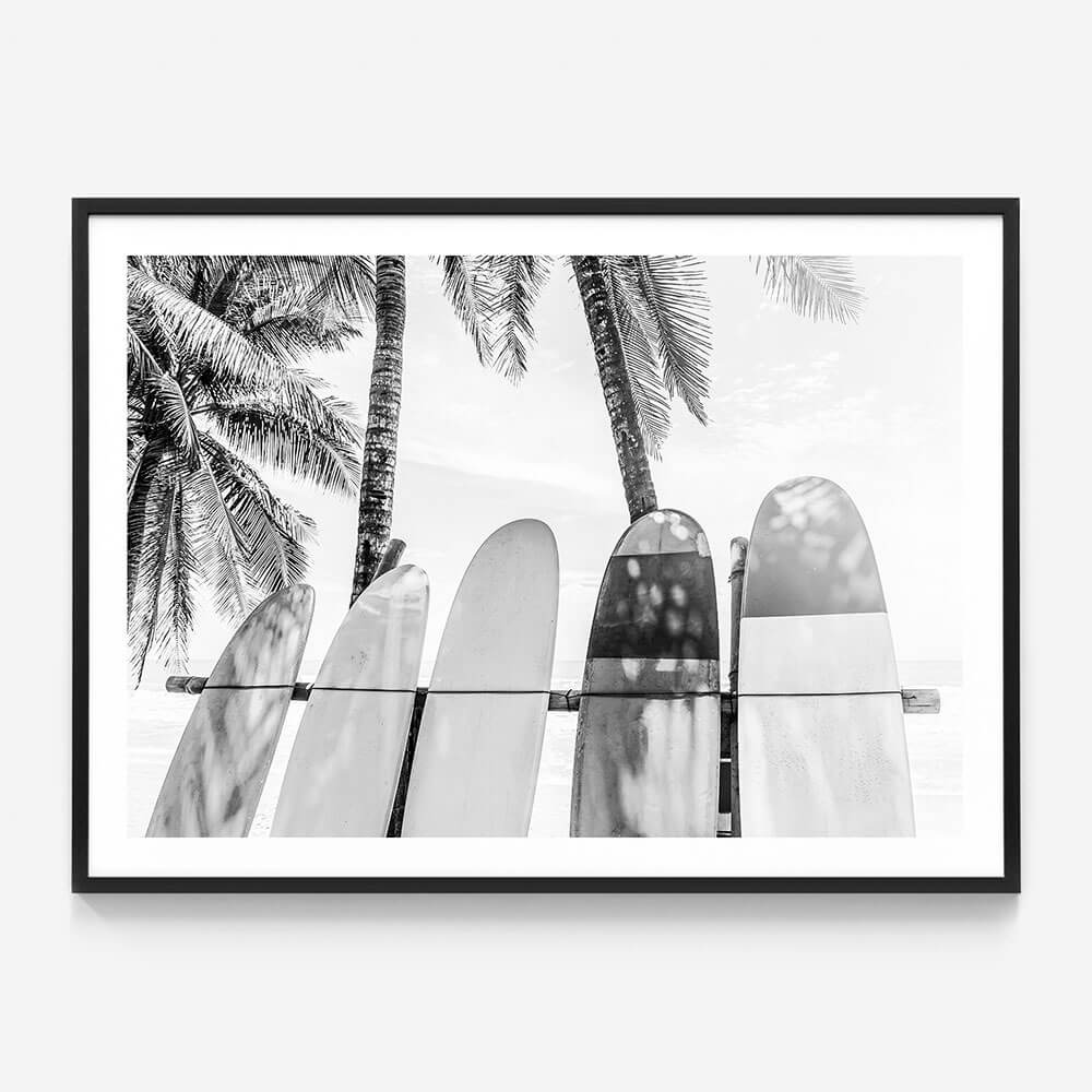 Palm Boards B&W