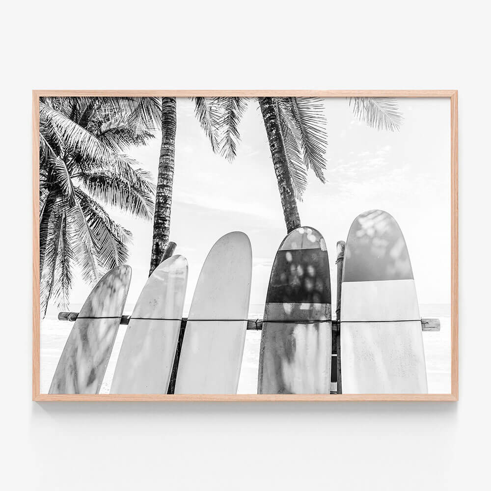 Palm Boards B&W
