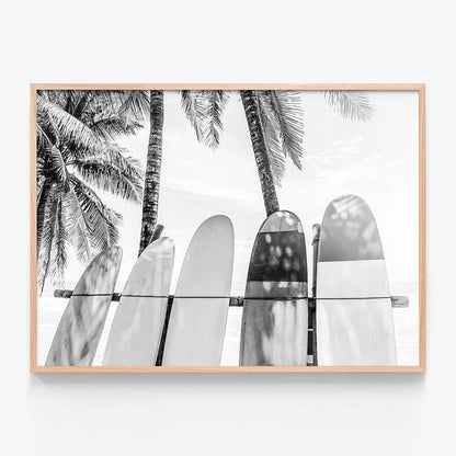 Palm Boards B&W