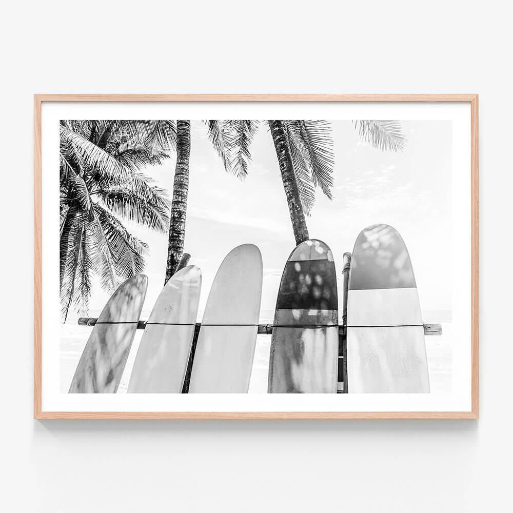 Palm Boards B&W