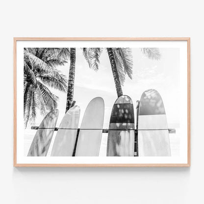 Palm Boards B&W