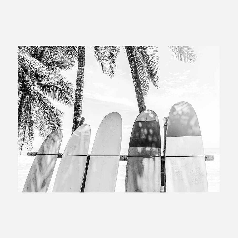 Palm Boards B&W
